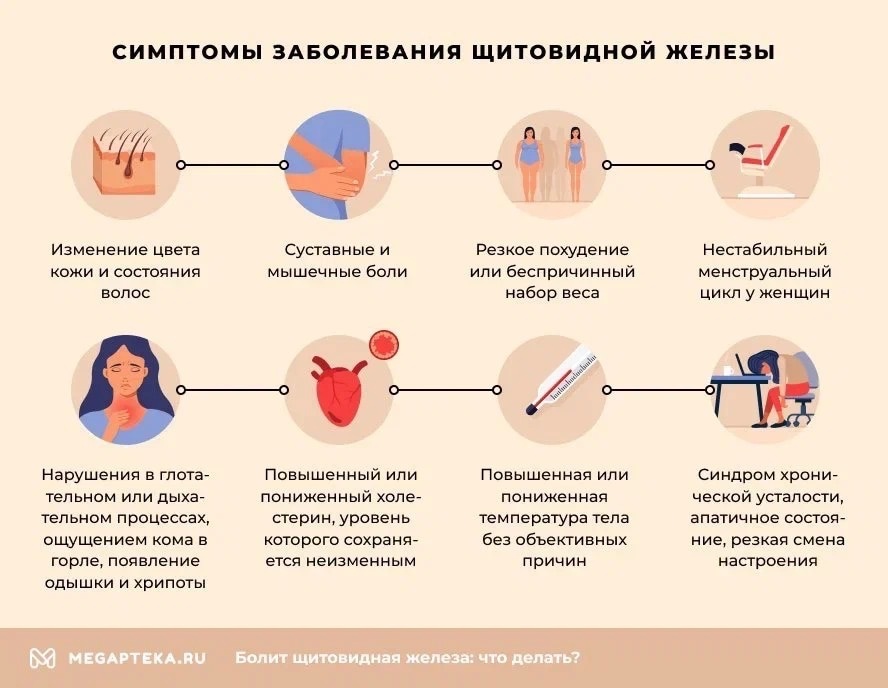 щитовидная железа